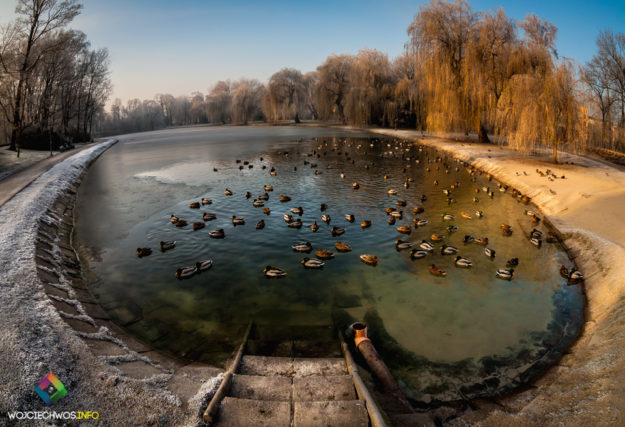 fotografia ślubna kielce