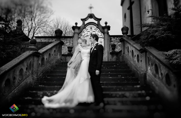 Fotografia ślubna Jędrzejów