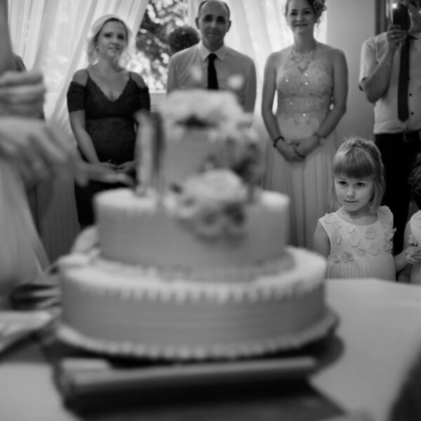 fotografia ślubna Kielce