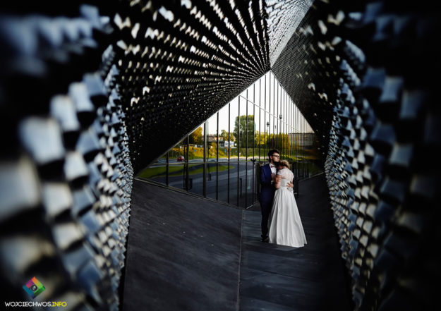 sesja ślubna katowice