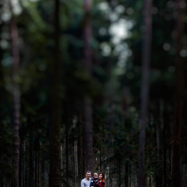 sesja rodzinna w lesie