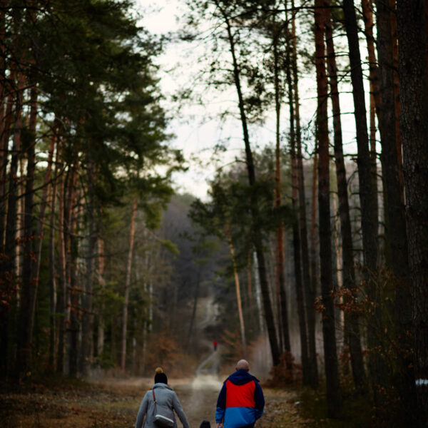 sesja rodzinna w lesie